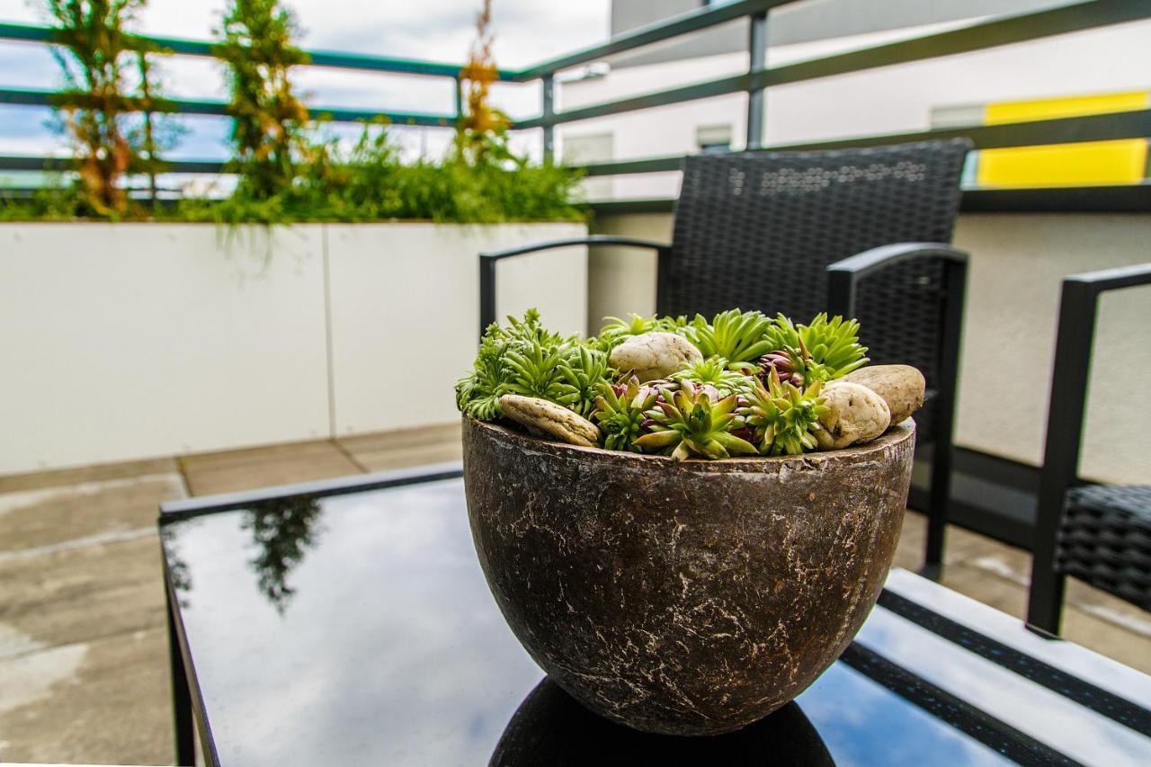The Town Hall Residence -Welcome Home Apartment-Free Outdoor Parking-Ac Caşonia Exterior foto